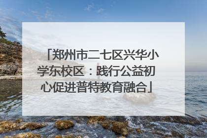 郑州市二七区兴华小学东校区：践行公益初心促进普特教育融合